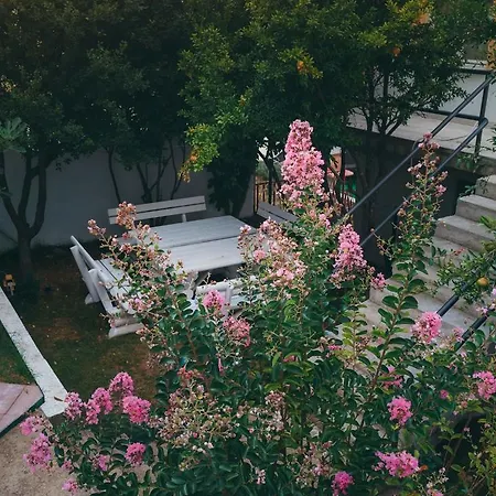 Daris Villa