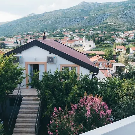 Daris Blagaj